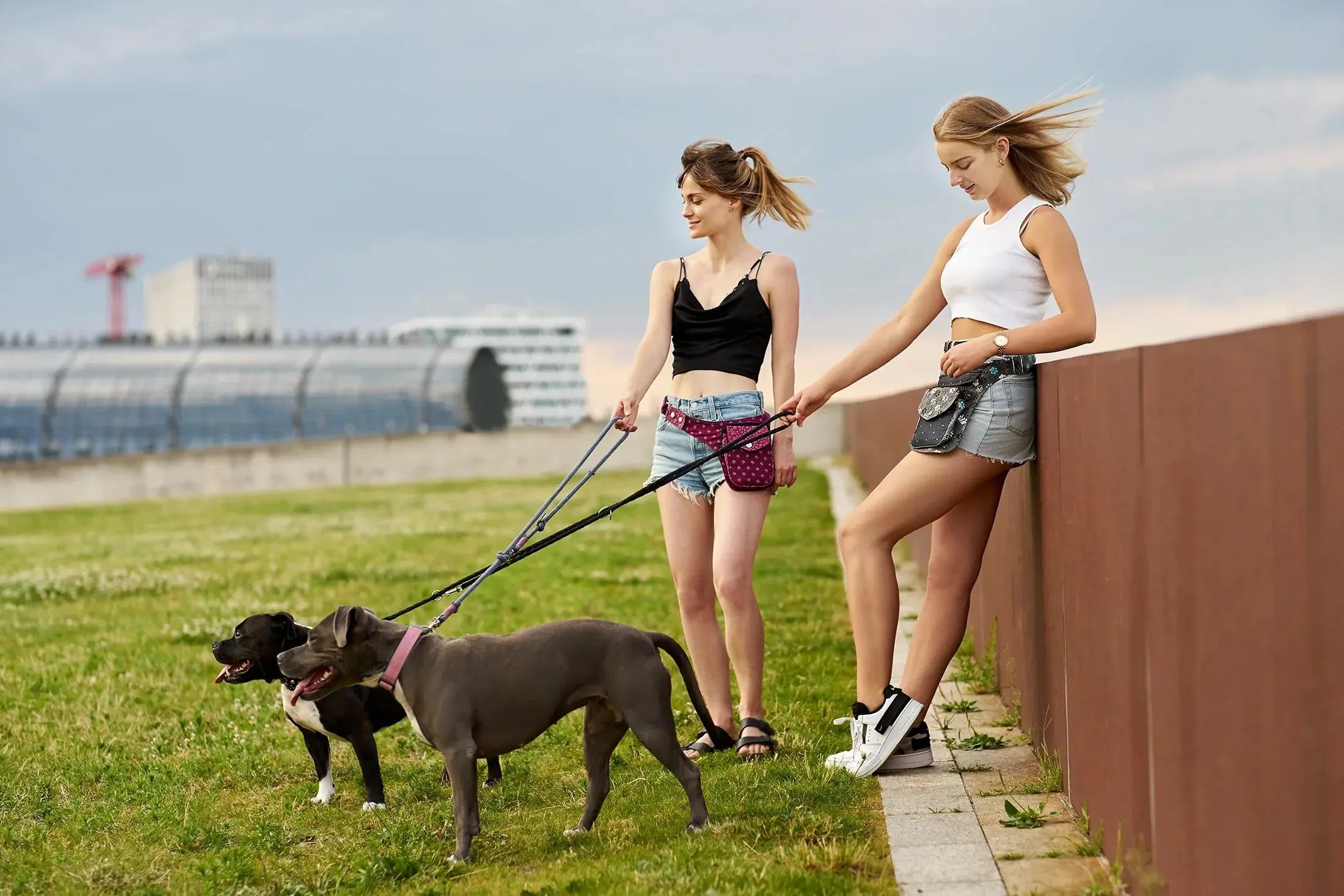 Zwei Frauen, die in kurzen Hosen stehen, präsentieren an einem Parkzaun Nijens Bauchtaschen. Beide haben jeweils einen Hund an der Leine.