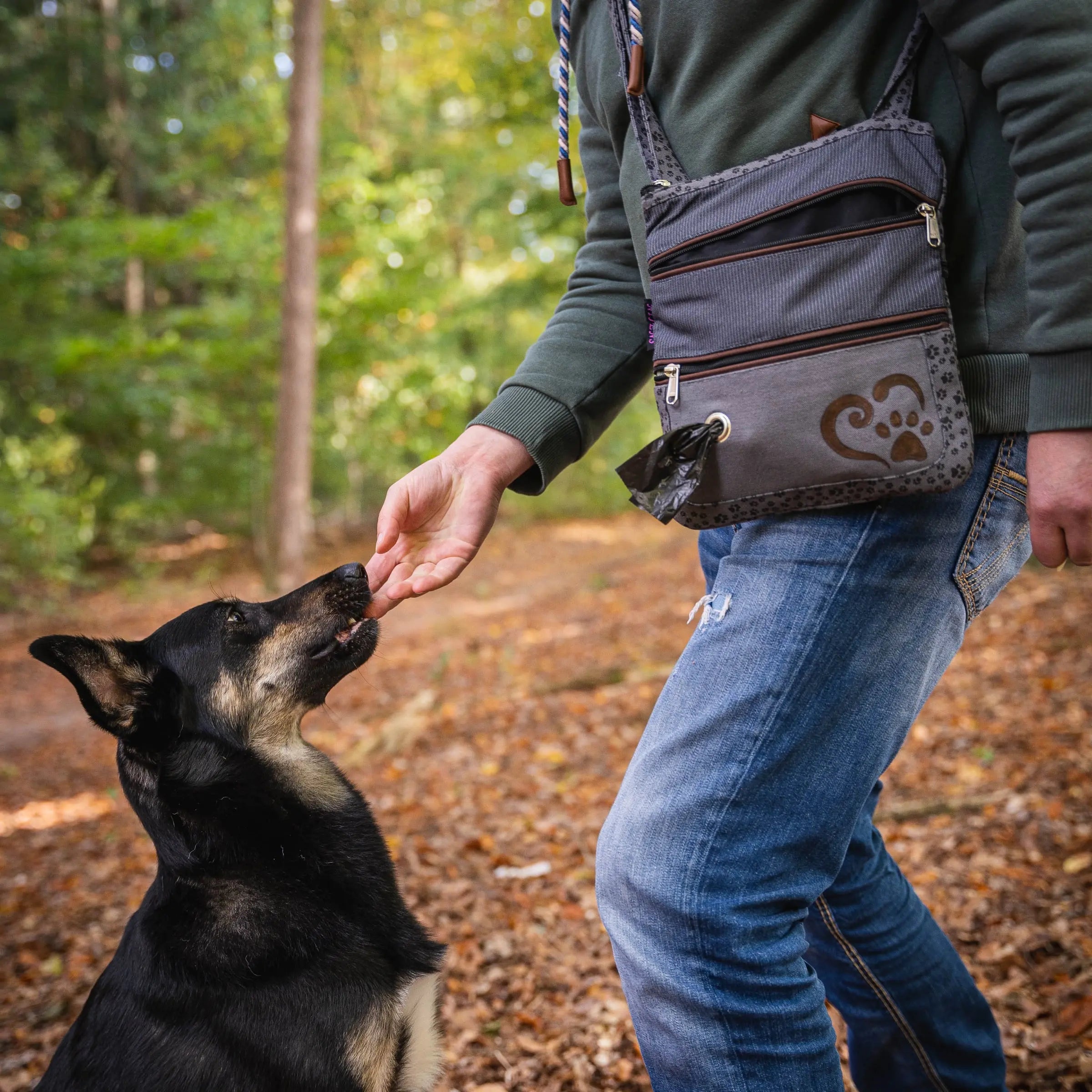 hochwertige Umhängetasche für den Ausflug mit Hund