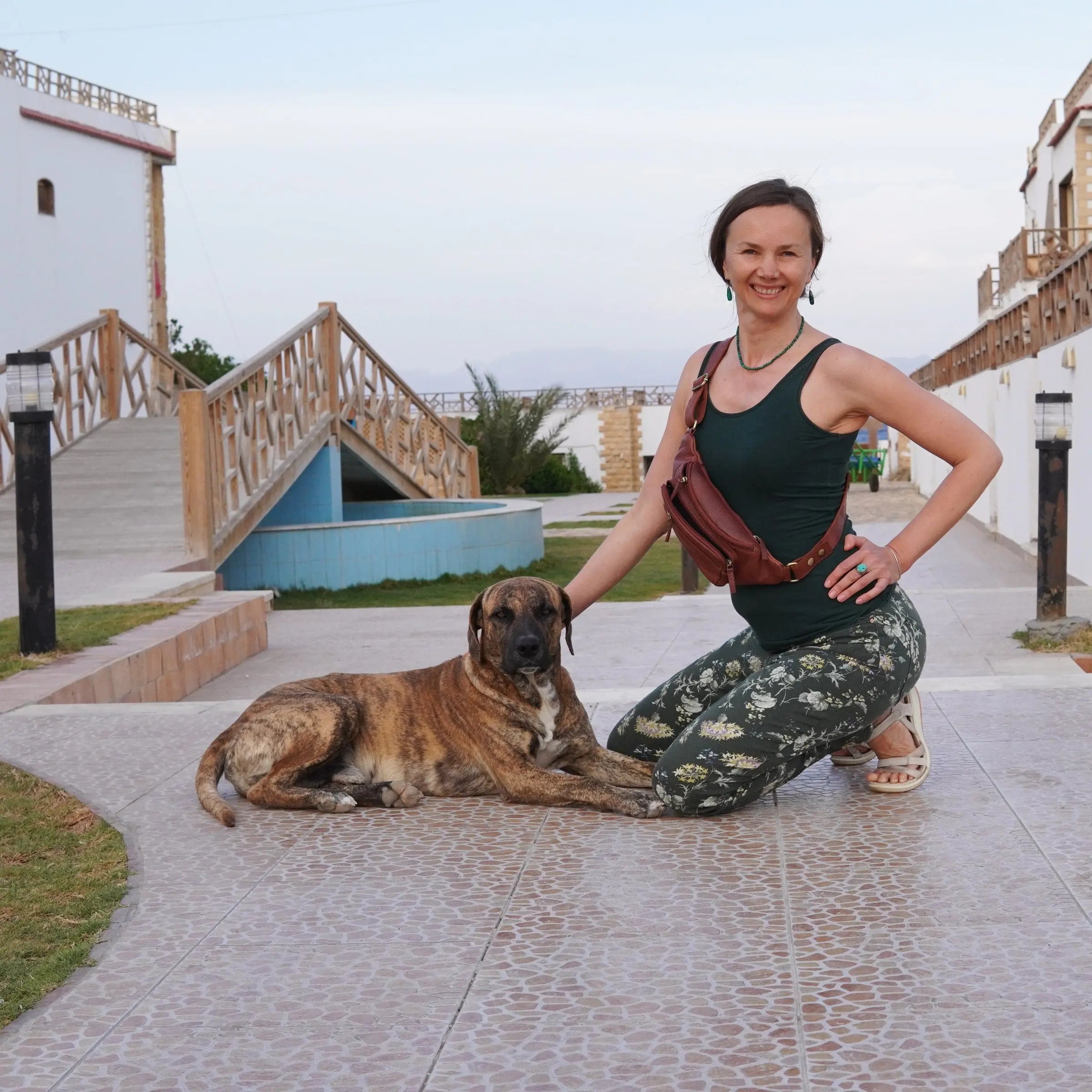 hochwertige Ledertasche für den Ausflug mit Hund