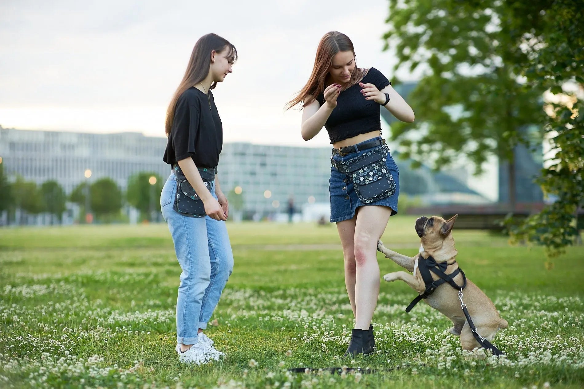Neuheiten Nijens Gassi-Taschen für Hund