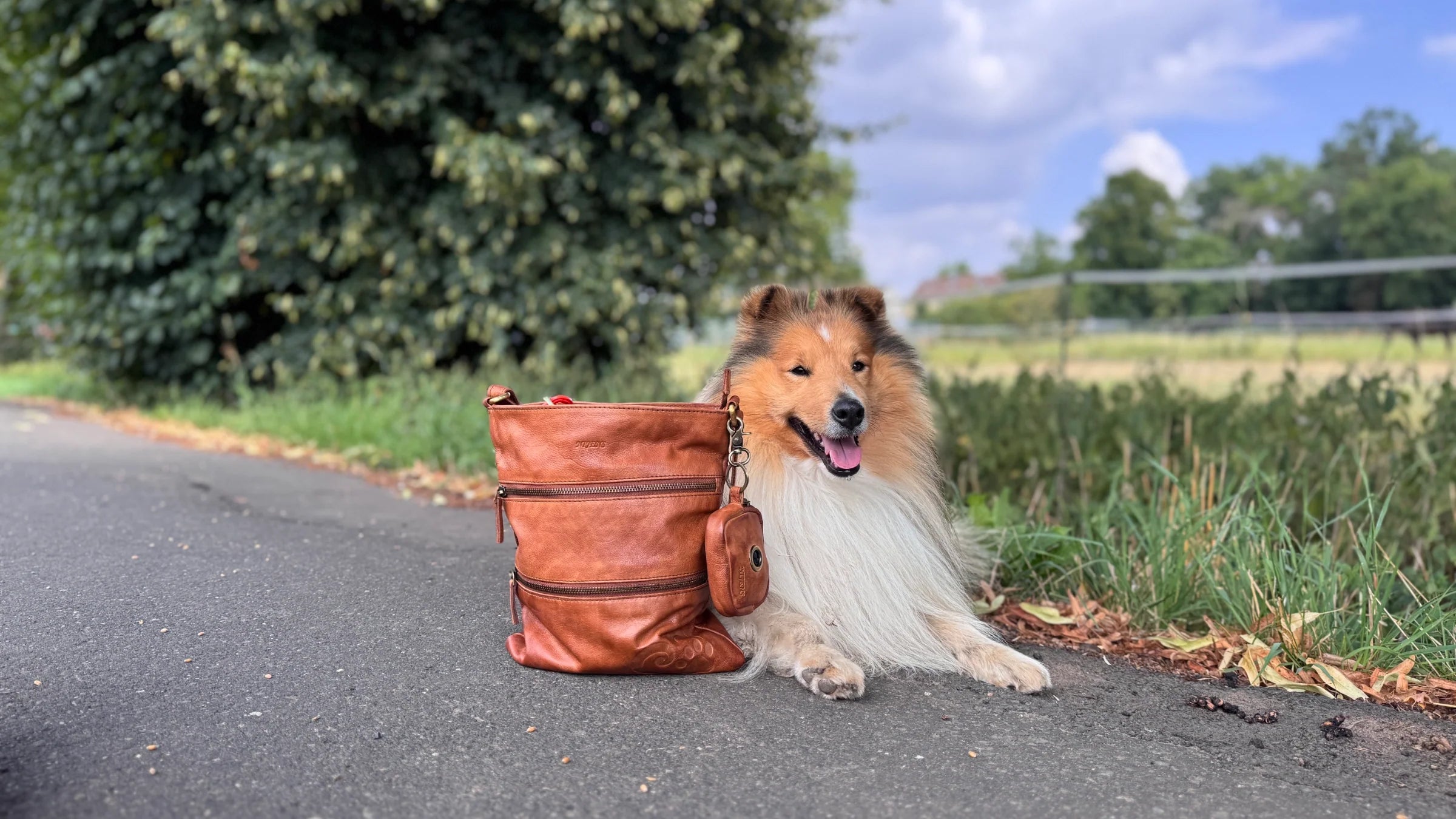 Ein glücklicher Collie liegt auf einem Feldweg neben einer braunen Leder-Gassitasche von Nijens mit passendem Kotbeutelspender. Im Hintergrund sind grüne Bäume, Wiese und ein blauer Himmel mit Wolken zu sehen.