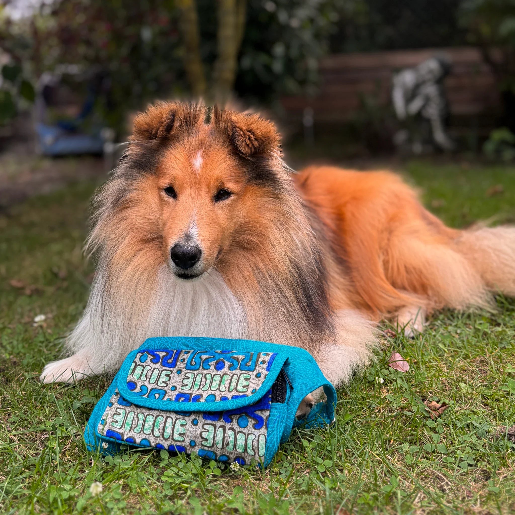 Shetland Sheepdog im Gras neben einer praktischen Nijens Bauchtasche mit Ethno-Muster.