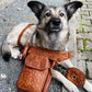 Auf der Straße liegender Hund mit Gürteltasche Hannover Leder um den Hals und die dazu passende kleine Beuteltasche aus Leder, welche mit zwei Gürtelschlaufen an dem Gurt der Gürteltasche Hannover befestigt ist.