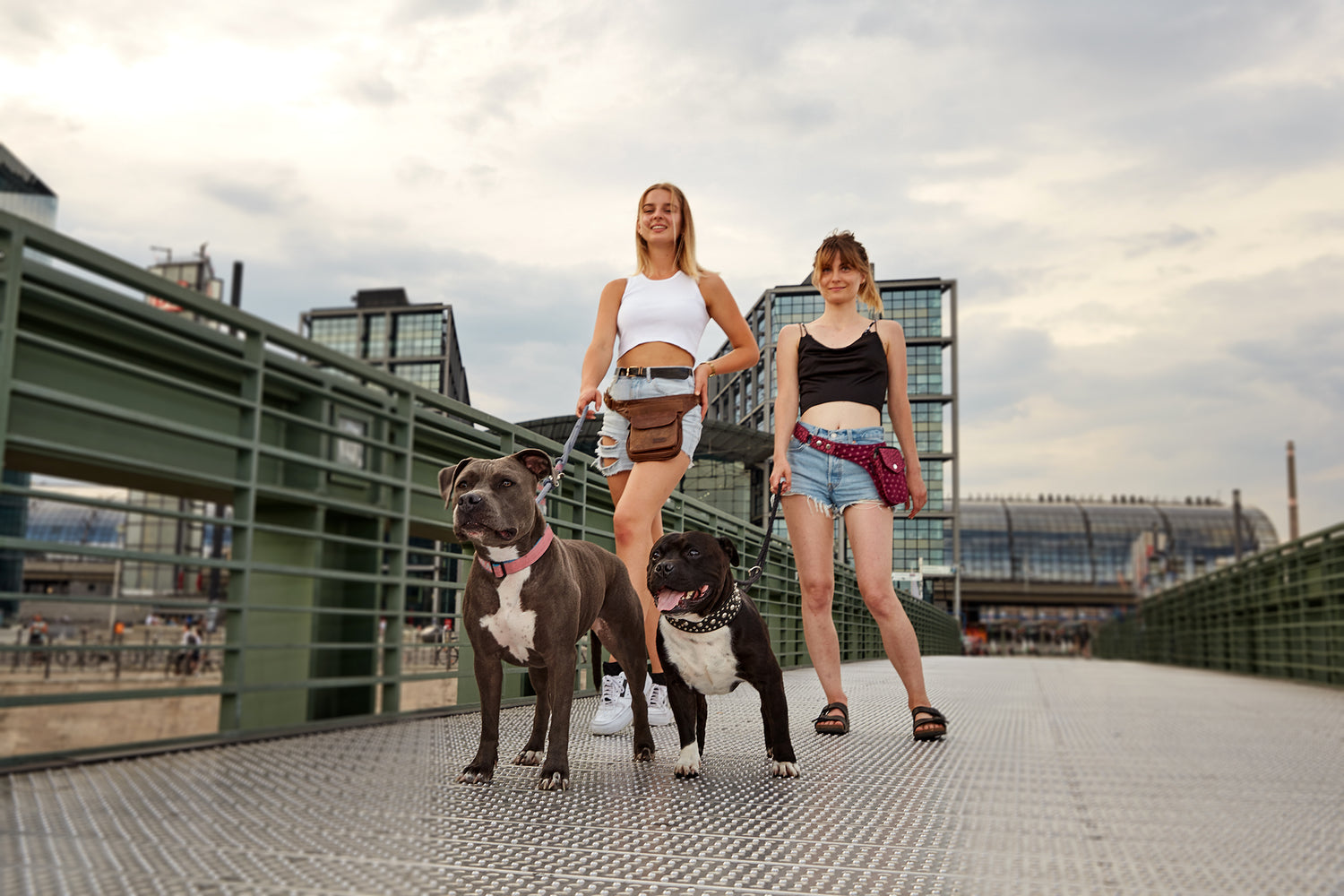 Spaziergang mit Hunde in Berlin Nijens
