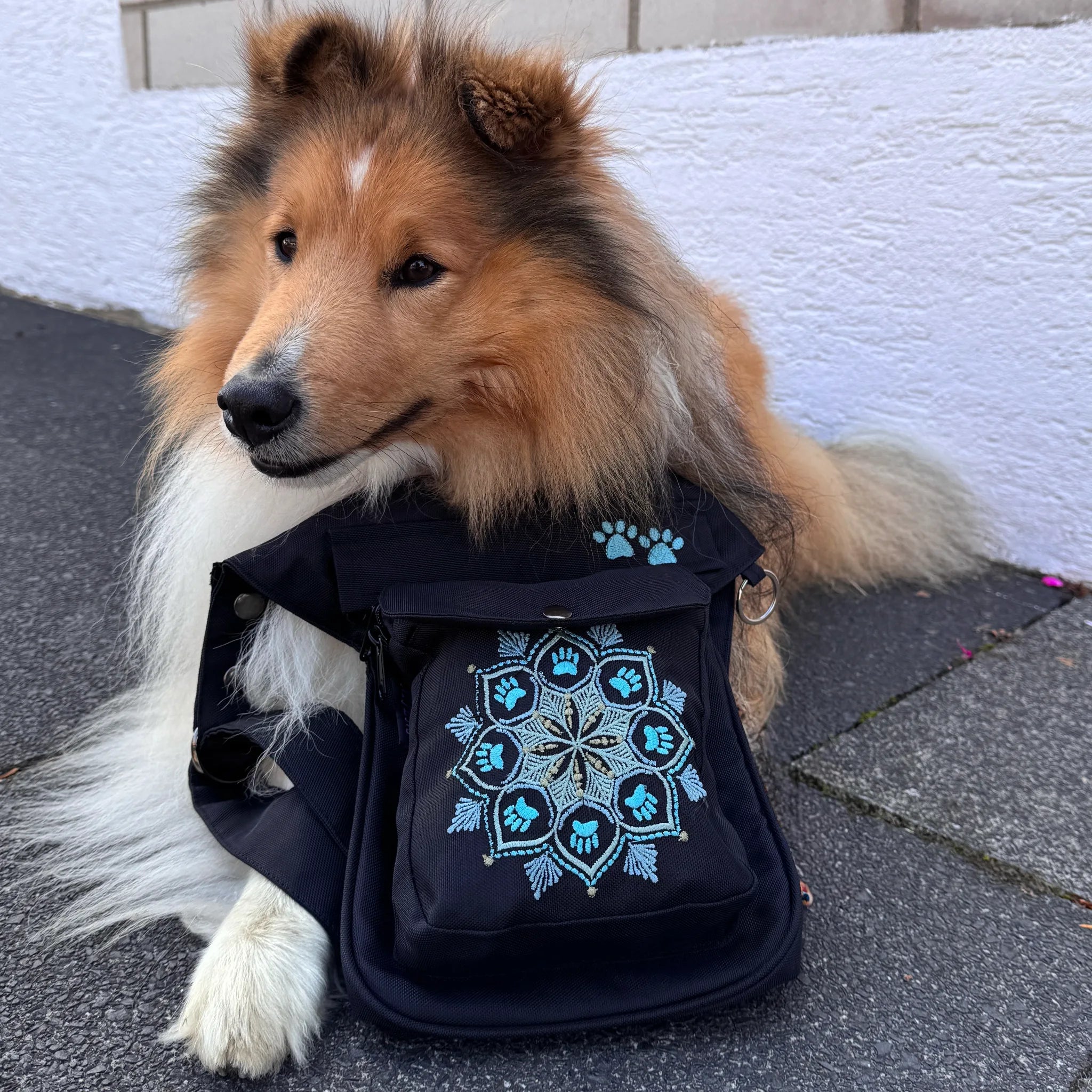 Shetland Sheepdog (Sheltie) liegt auf dem Gehweg und ruht den Kopf auf einer dunkelblauen Nijens Gassi-Tasche mit türkisfarbener Mandala-Stickerei und Pfotenmotiv.