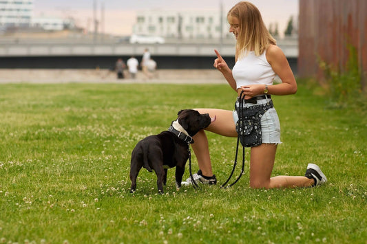 Frau die auf einer Wiese kniet und ihrem Angsthund ein Sitz-Kommando erteilt