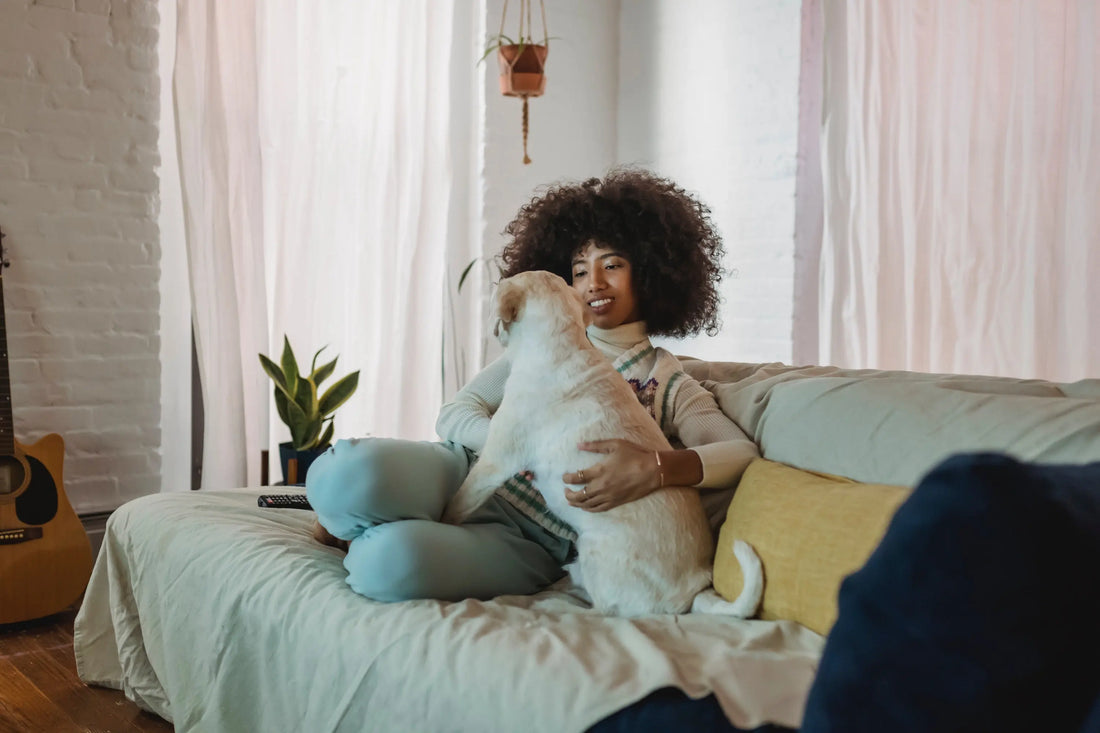 Tipps und Tricks für regnerische Tage - So kannst Du Deinen Hund zu Hause beschäftigen