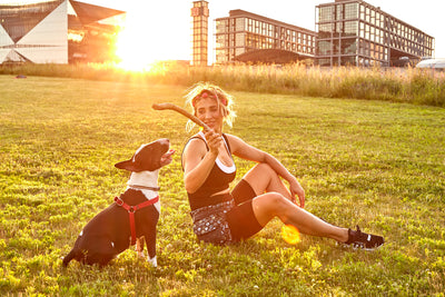 Cool bleiben im Sommer - So schützt Du Deinen Hund vor Hitze