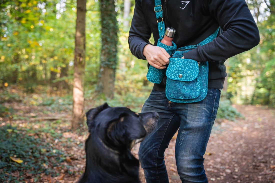Hund Apportieren beibringen: 5 Tricks im Überblick