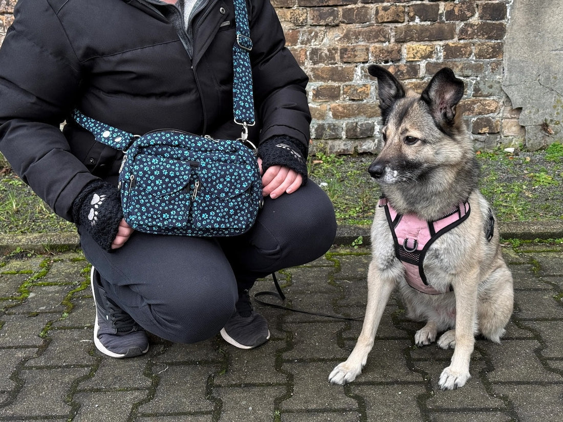 Titelbild für "Hund frist alles vom Boden": Hundebesitzer kniet neben sitzendem Hund nieder