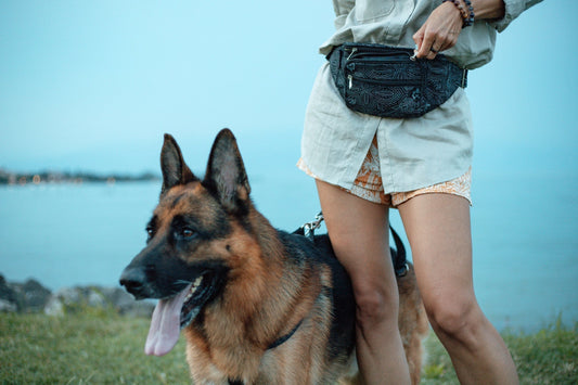 Symbolbild für Blogartikel zum Thema hund waschen: Eine Frau steht in der Natur mit ihrem fröhlich aussehenden Schäferhund