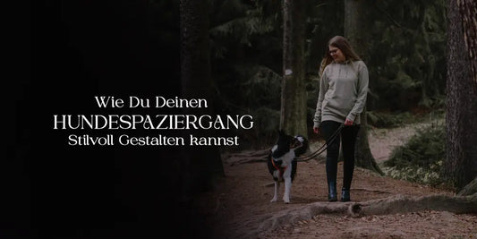 HUNDESPAZIERGANG Stilvoll Gestalten