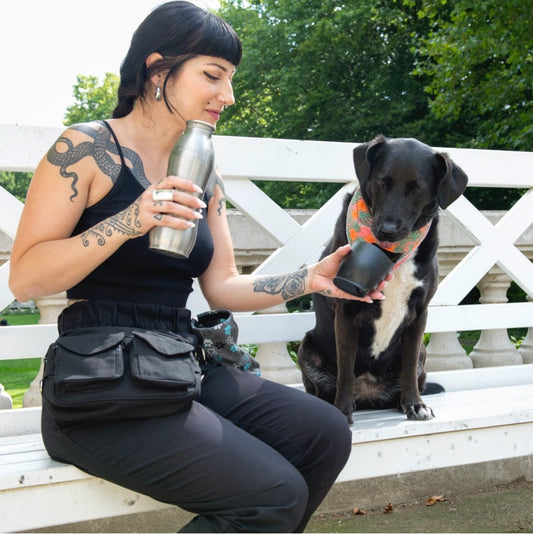 Wie viel muss ein Hund trinken? Praktische Tipps zu Flüssigkeitsbedarf, Durst & Co.
