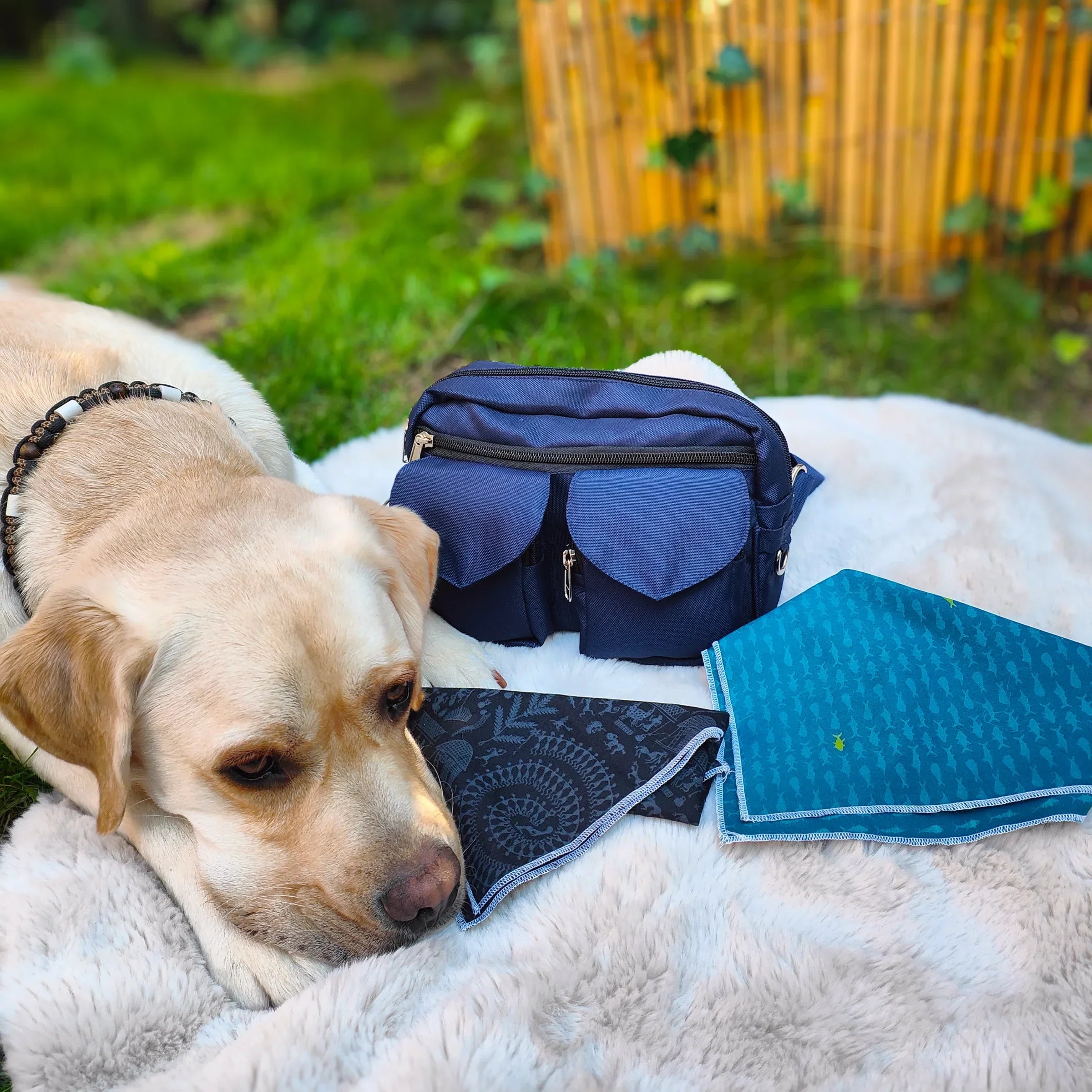 Produktpräsentation von Gassi-Tasche Berlin und Hundebandanas auf einem Fell mit Hund.