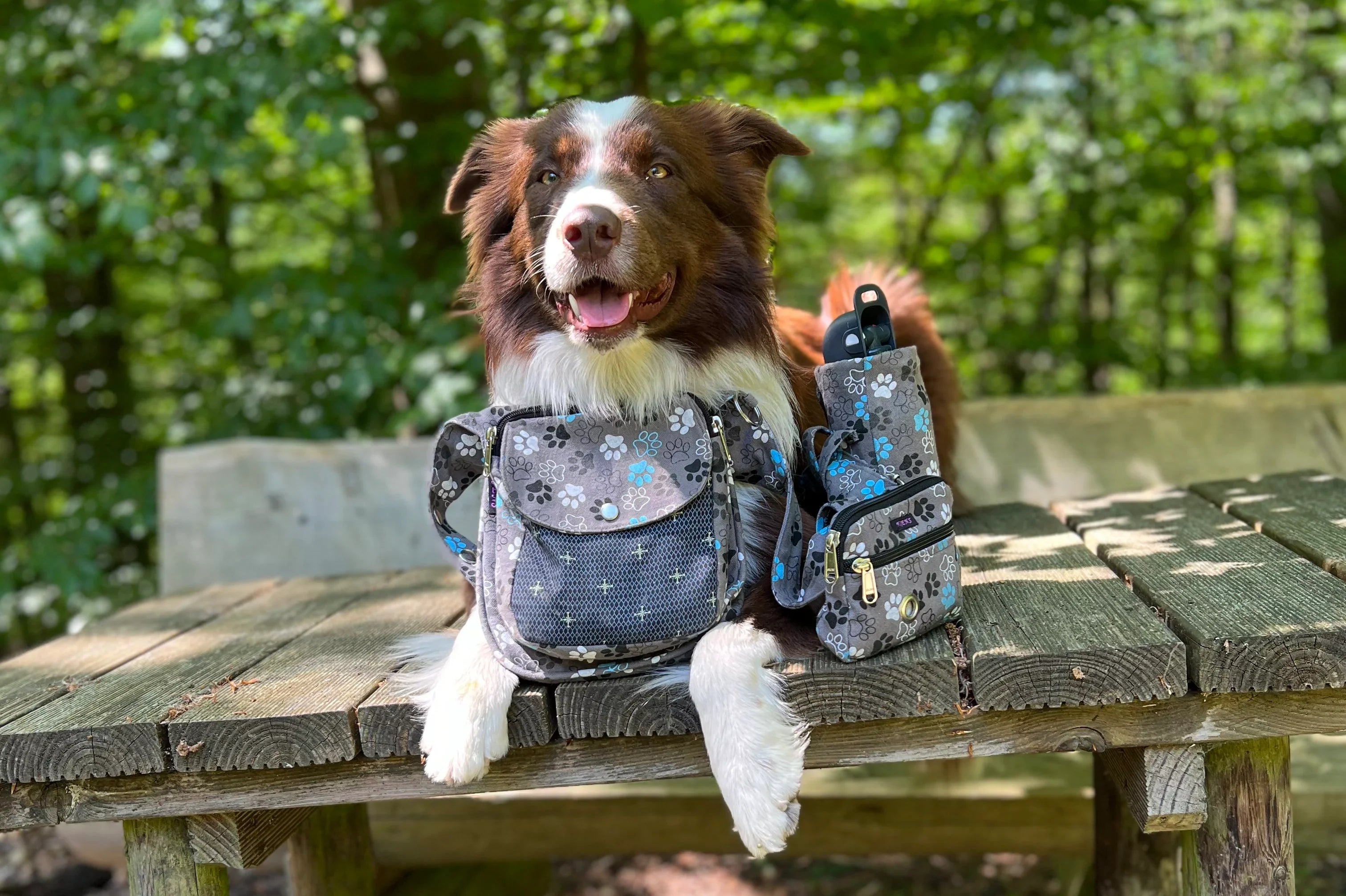 Happy Dog with Nijens Bag