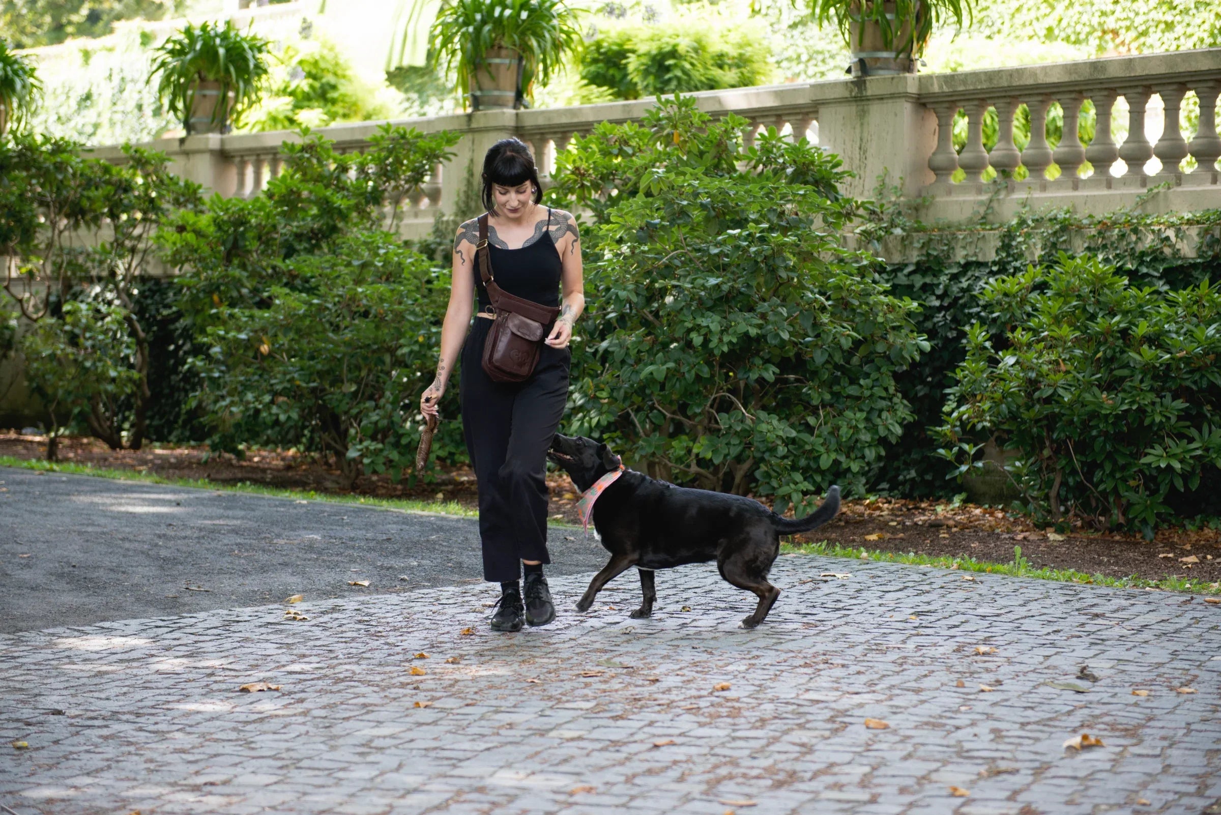 Eine Frau präsentiert spielend mit einem Hund im Park unsere Gassitasche Hannover aus mahagonifarbenem Leder. 