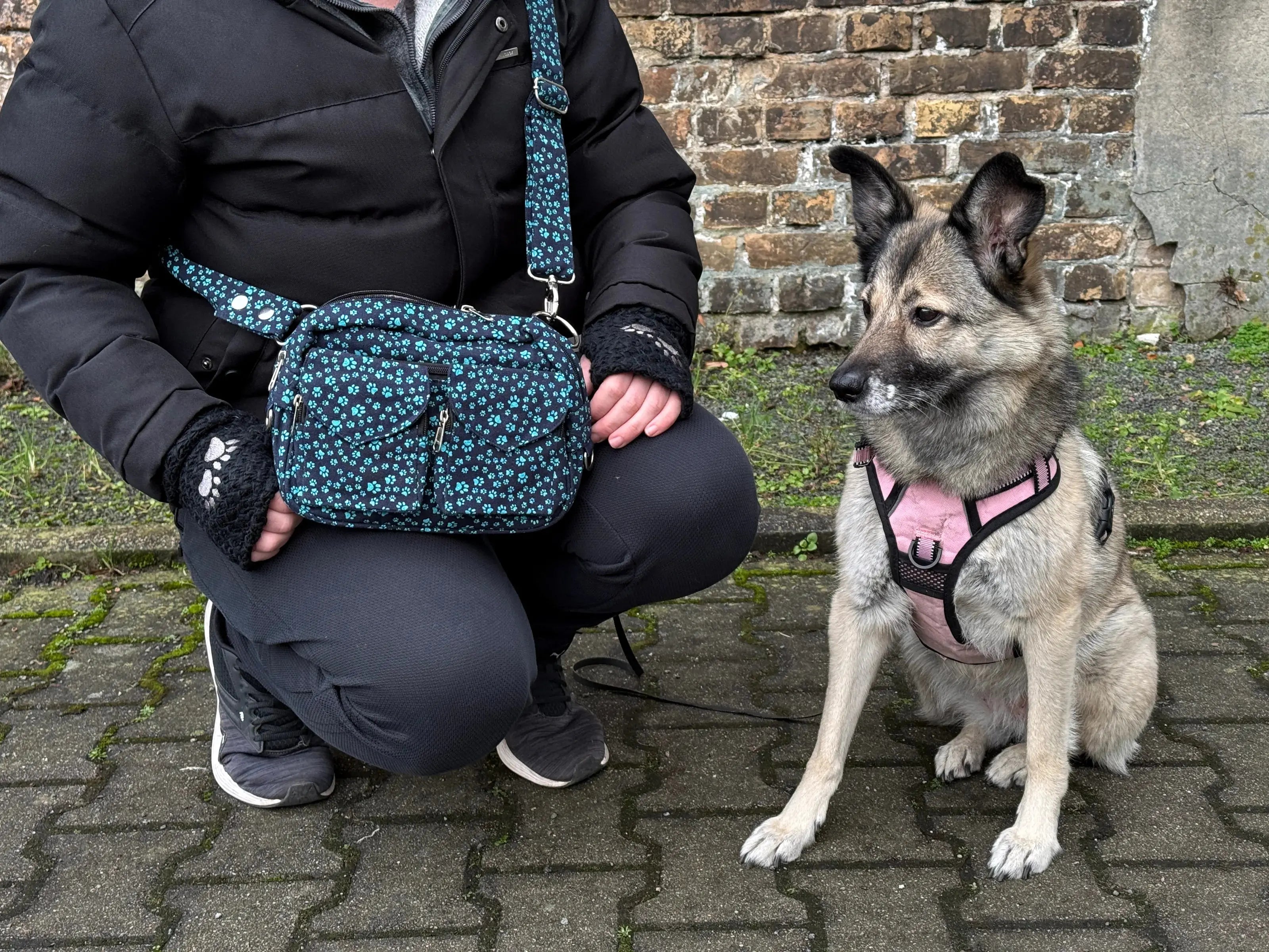 Eine Frau präsentiert spielend mit einem Hund im Park unsere Gassitasche Hannover aus mahagonifarbenem Leder. 