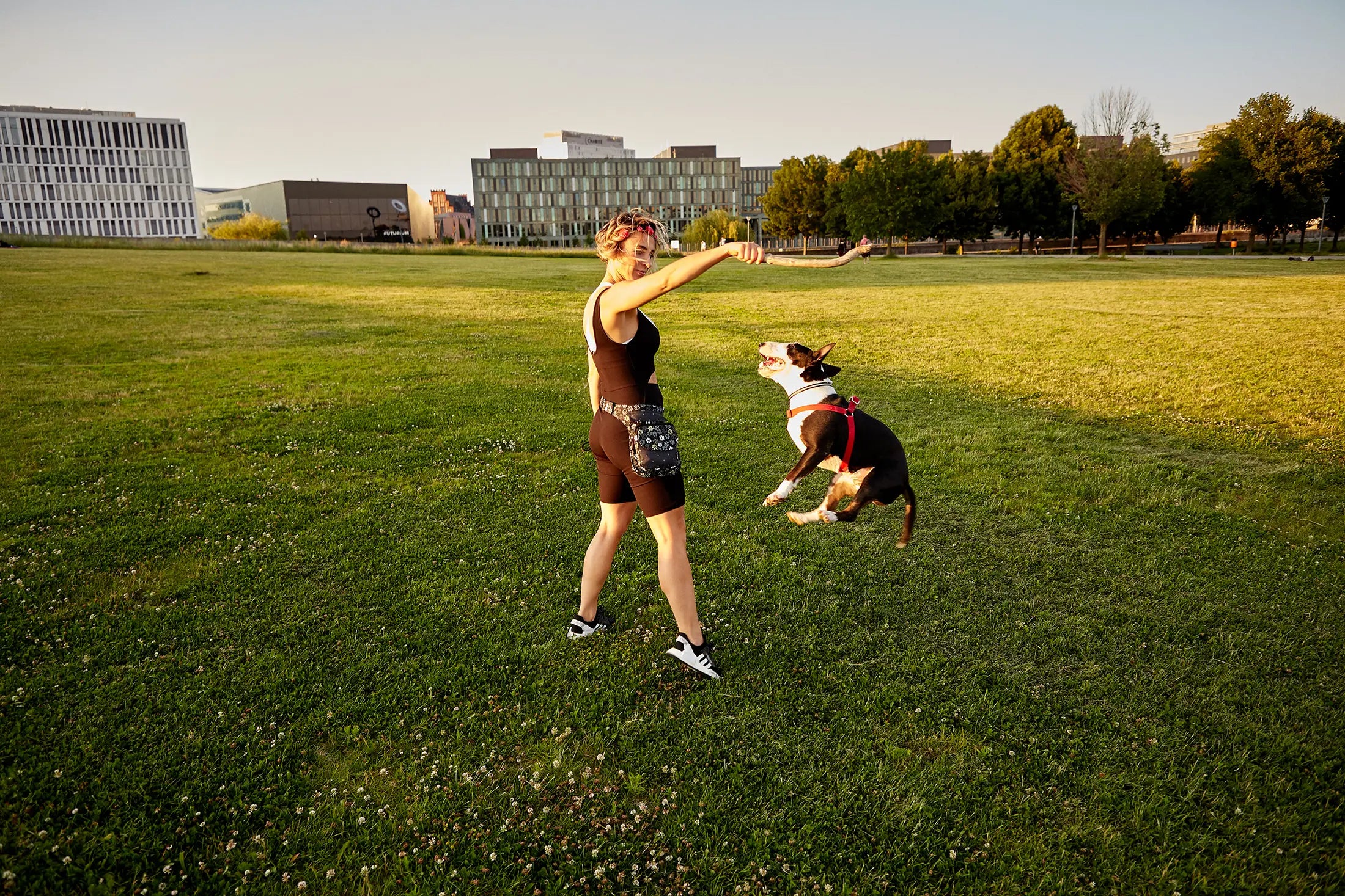 Frau mit Bauchtasche trainiert einen Hund auf einer Wiese.