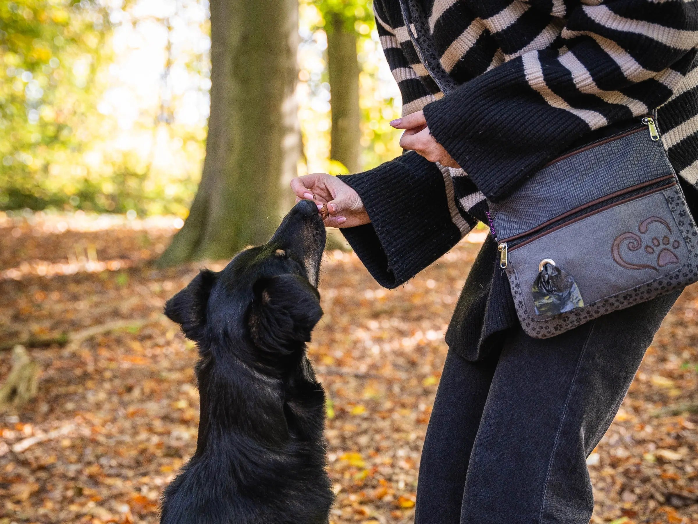 Stoff Gassi-Umhängetasche für Hund