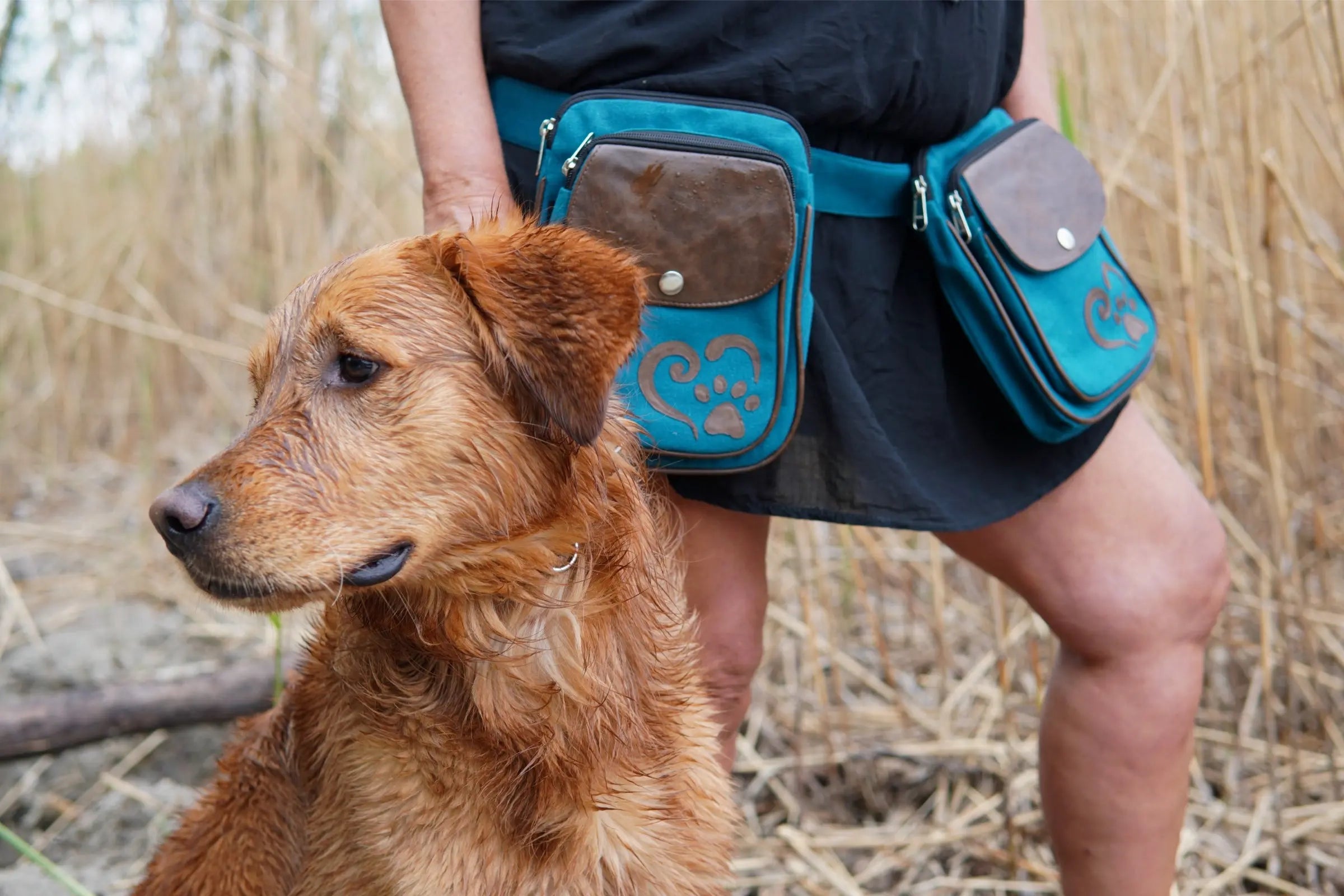  doppelte Gassi-Tasche ist  für das Hundetraining oder zum Gassigehen 