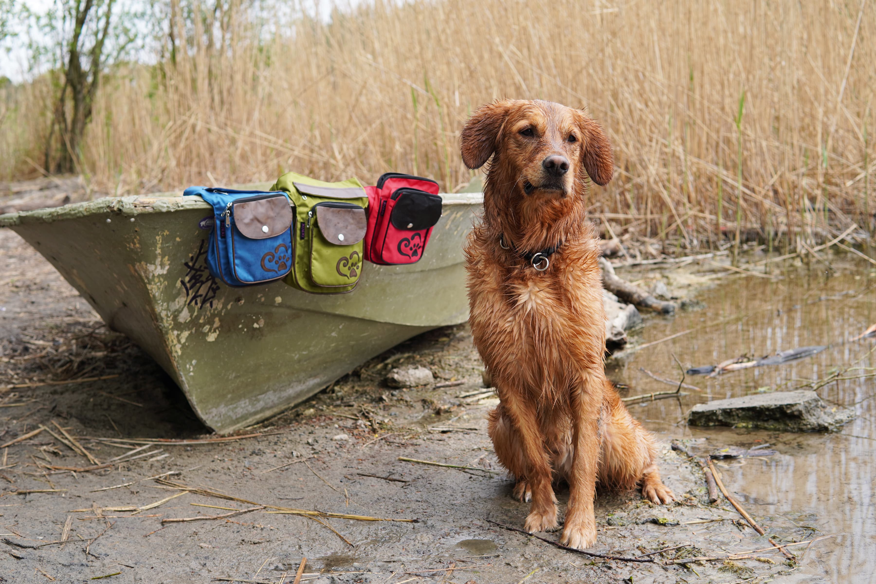 Wasserdichte Taschen für Hund - Nijens Shop