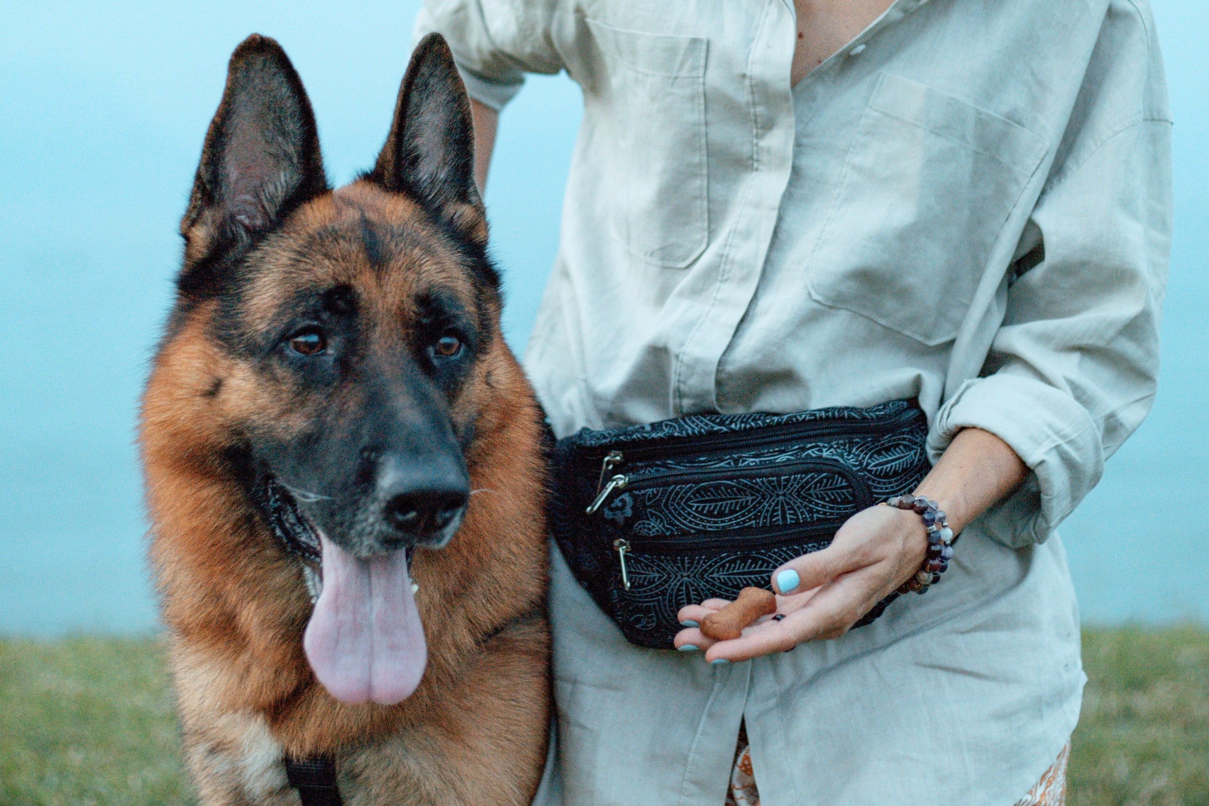 Futtertasche Gassi-Tasche in Querformat für Hund - Nijens Shop