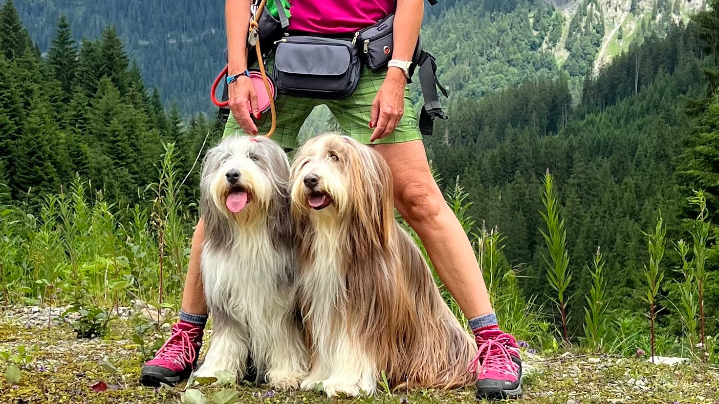 Wasserabweisende Gassitaschen für Hundetraining - Nijens Shop