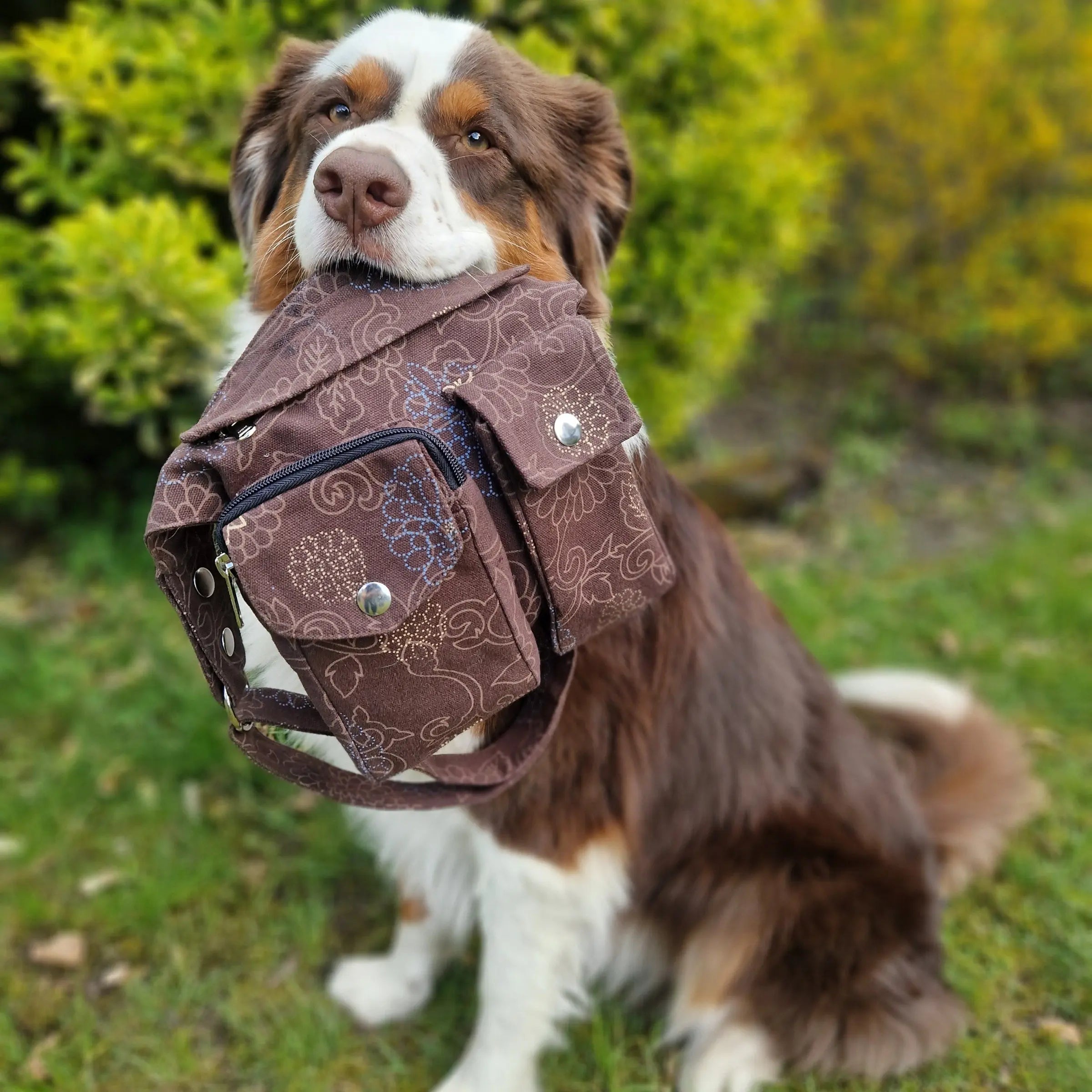 Hund mit brauner Nijens Leckerli-Tube Tasche Lefkada im Maul, ideal für Futtertube und Gassi-Zubehör.