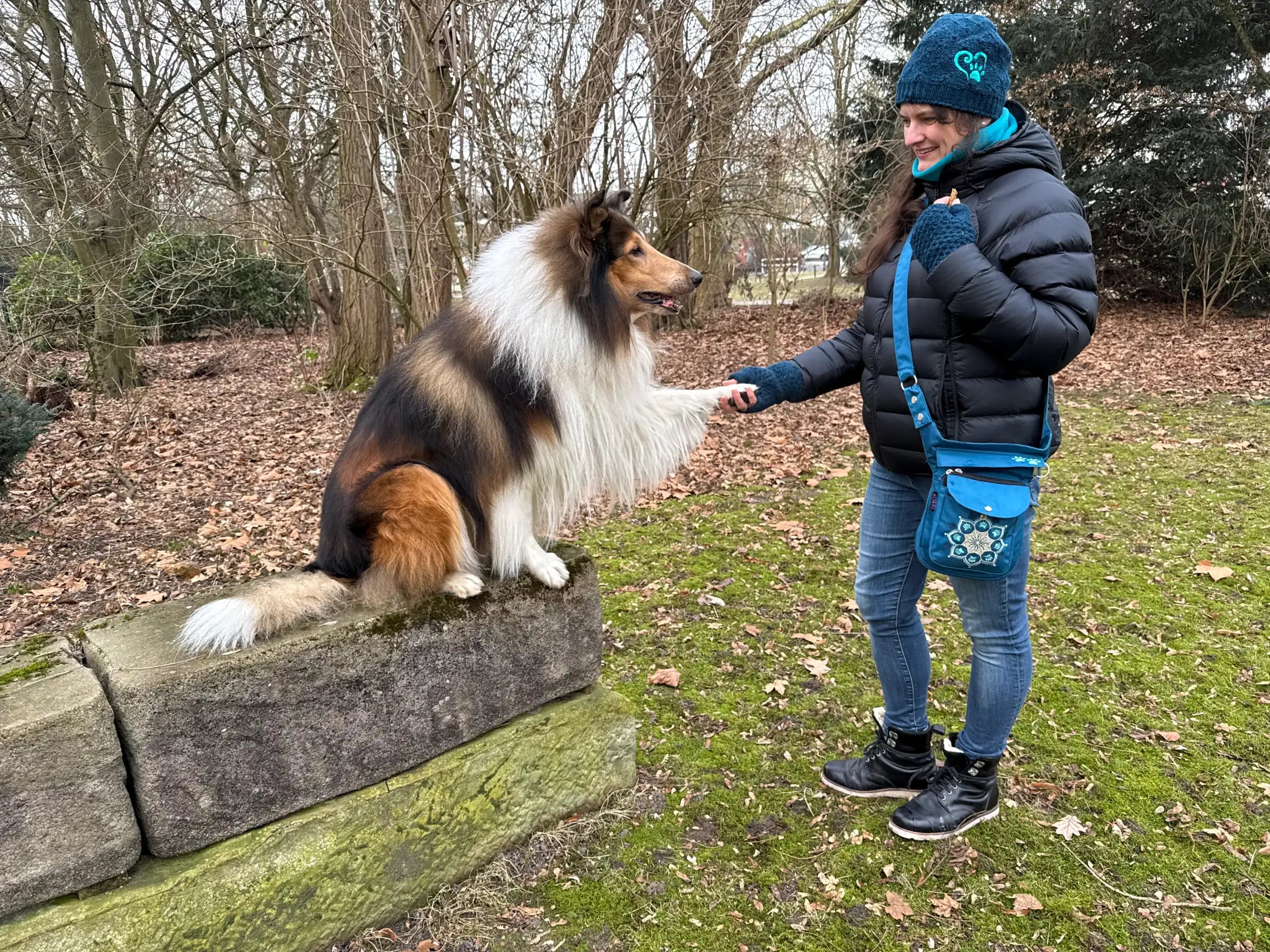 Frau im Winteroutfit mit blauer Nijens-Umhängetasche im Park mit einem Collie; der Hund sitzt auf einem Baumstumpf und hebt die Pfote.