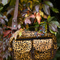 Gassi-Tasche, Bauchtasche sowie Umhängetasche aus Canvasstoff, Braun mit aufgesetztem Kuhfell gefärbt im Leopardenlook.