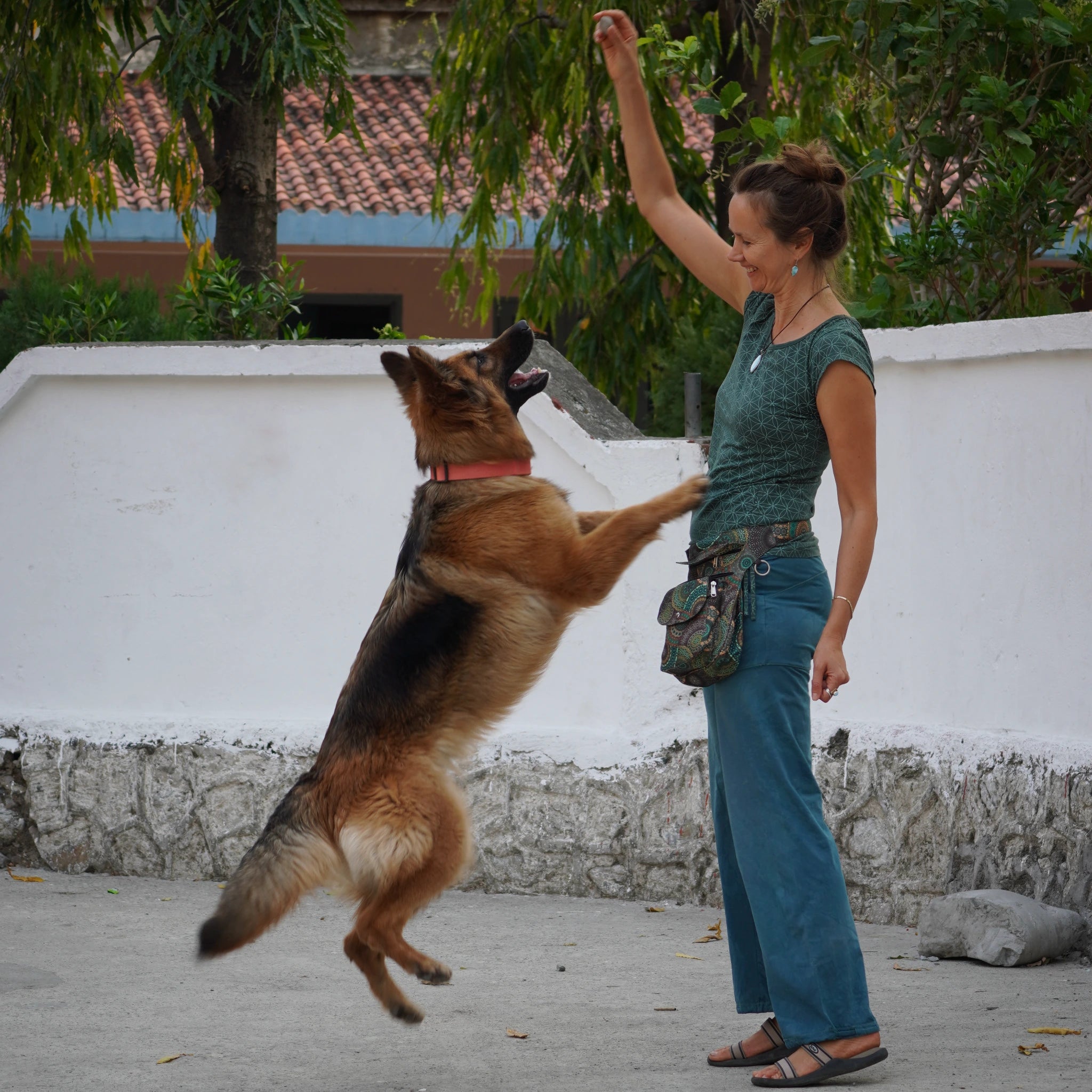 Frau trainiert mit ihrem Hund und trägt eine Nijens Gassi- und Bauchtasche – ideal für Leckerlis und Zubehör beim Hundetraining.