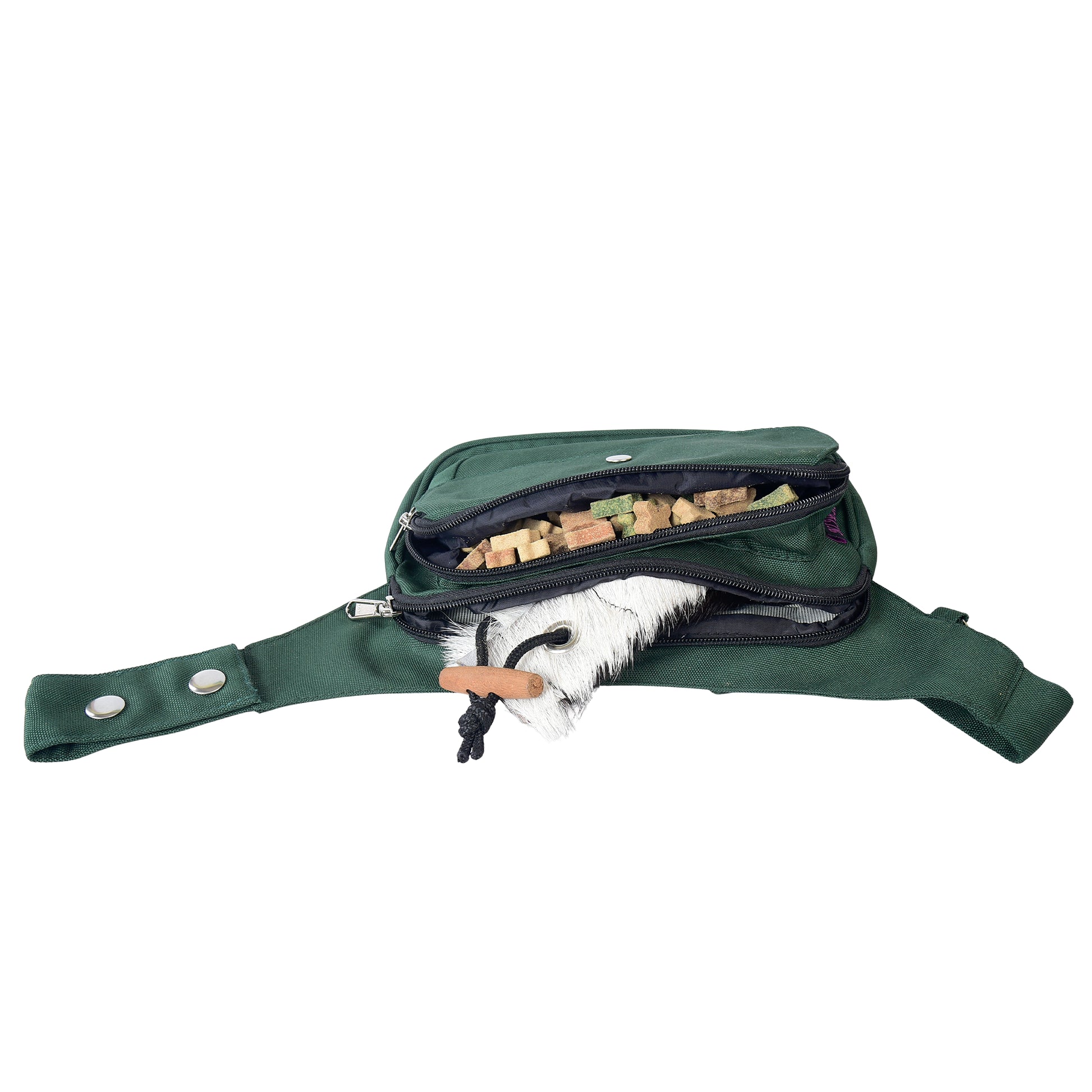 Innenansicht der Frankfurt Gassi-Tasche in Grün – mehrere Fächer für Leckerlis, Wurf-Dummy