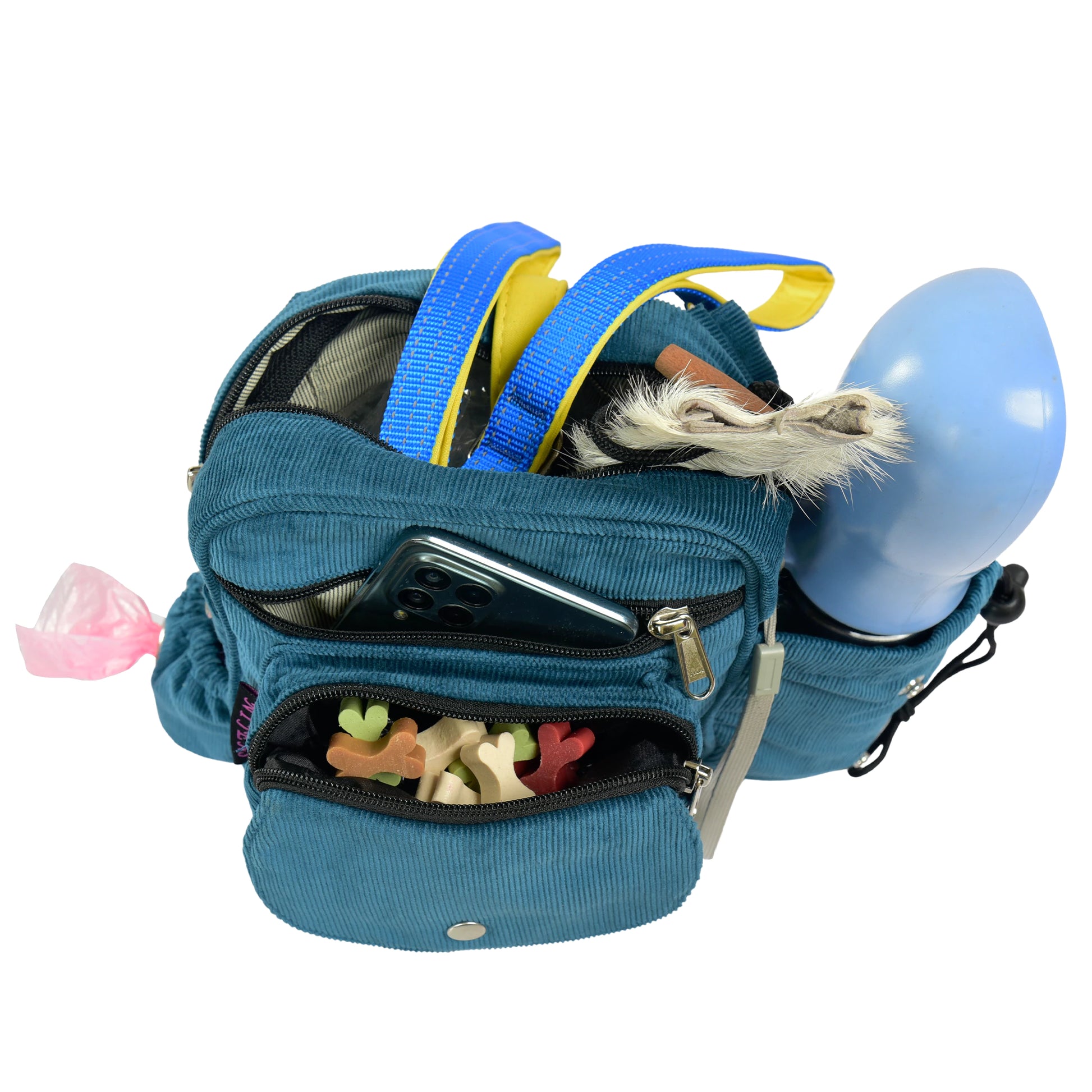 Petrolfarbene Cord Gassitasche mit geöffneten Fächern für Leckerlis, Handy, Hundezubehör und Trinkflasche