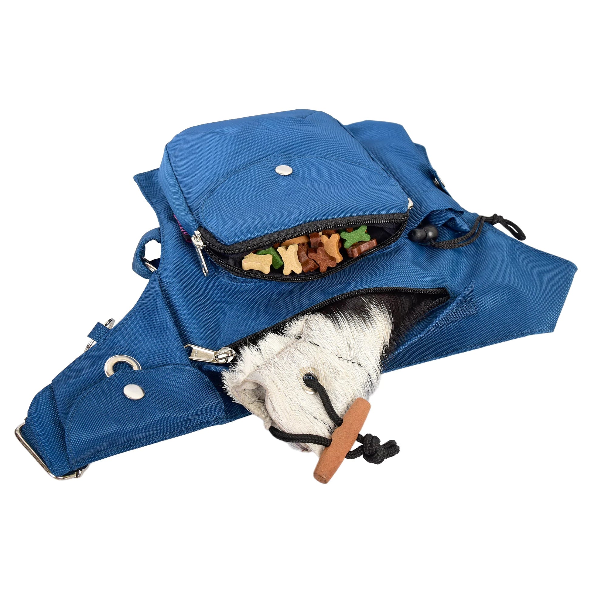 Funktionale Hundetasche in Blautürkis aus wasserabweisendem Material mit mehreren Fächern für Leckerlis und Zubehör.