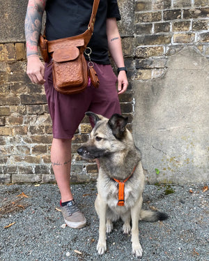 Gassi-Tasche, Apache Leder Brandy mit Pfoten&Herzprägungen für Hund