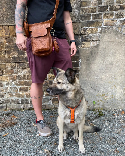 Gassi-Tasche, Apache Leder Brandy mit Pfoten&Herzprägungen für Hund