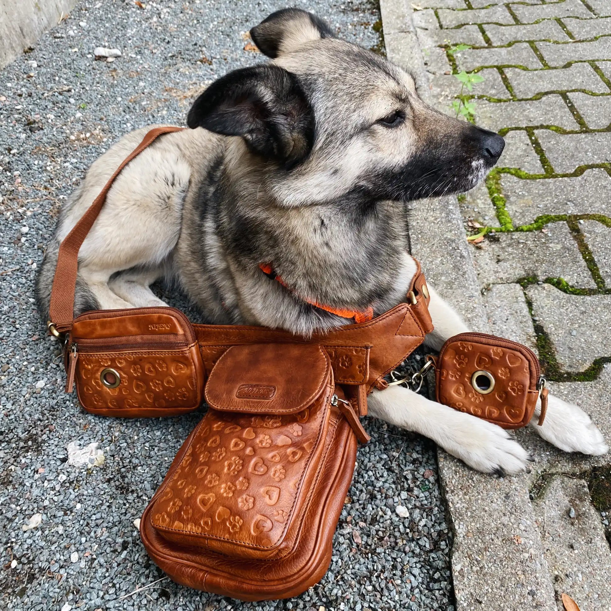 Gassi-Tasche, Beuteltaschen Apache Leder Brandy mit Pfoten&Herzprägungen für Hund