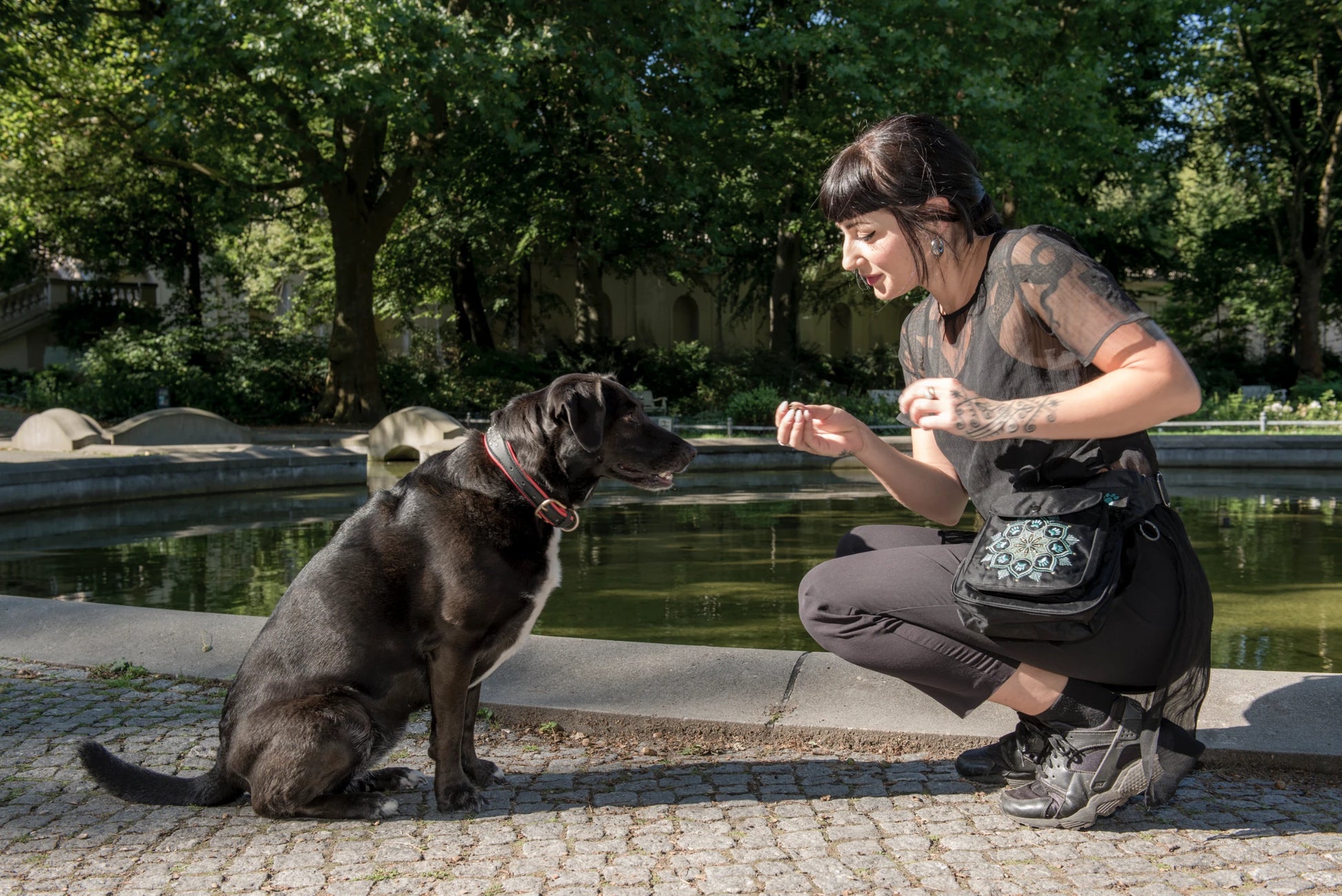 Gassitasche für Hundebesitzer, Bauchtasche aus wasserabweisendem Stoff, Schwarz, mit Blumenpfotenmandala-Stickerei.