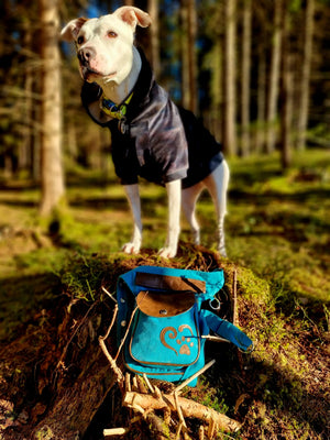 Gassi-Tasche Stoff-Canvas mit Pfotenherz Motiv für Hund - Nijens Shop