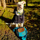 Gassi-Tasche Stoff-Canvas in Blau mit Pfotenherz Motiv für Hundetraining - Nijens Shop