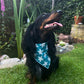 Hundebandana, Stoff Halsband für Hund - 20 Nijens Shop