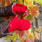 Gloves Nijens Virgin wool Mittens in red Loonna-set-23