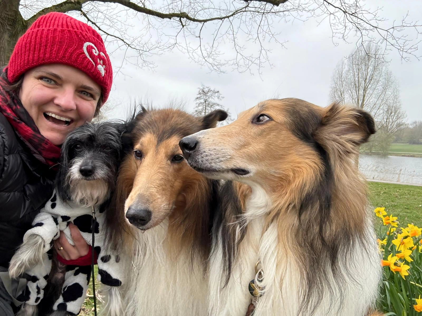 Fröhliches Selfie im Park: Frau mit roter Strickmütze und Schal hält einen kleinen Hund im Dalmatiner-Outfit, daneben zwei Collie-Hunde am Teich, im Hintergrund kahle Bäume und gelbe Narzissen.