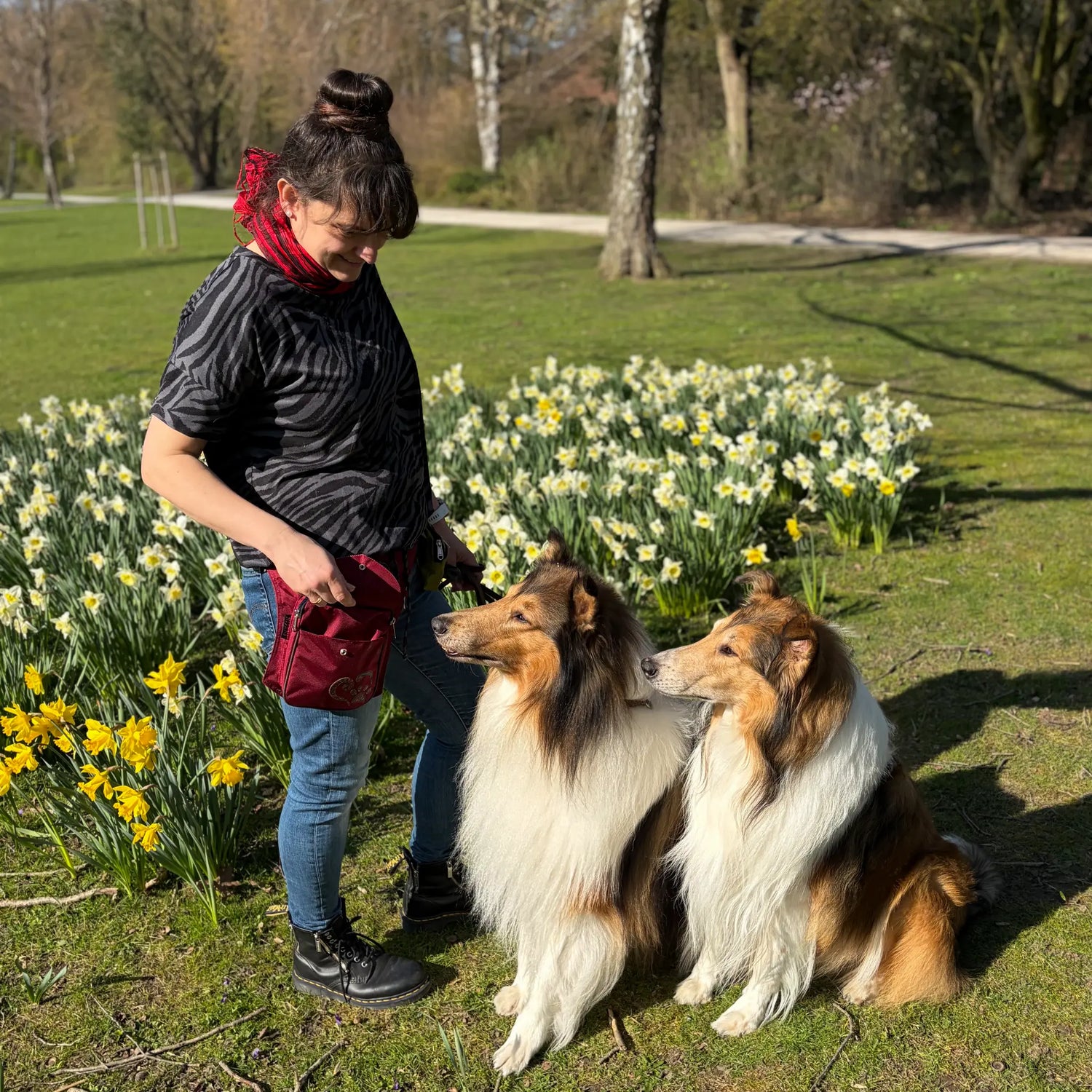 Frau mit roter Nijens Gassi-Tasche im Frühlingspark mit zwei Hunden vor blühenden Narzissen.