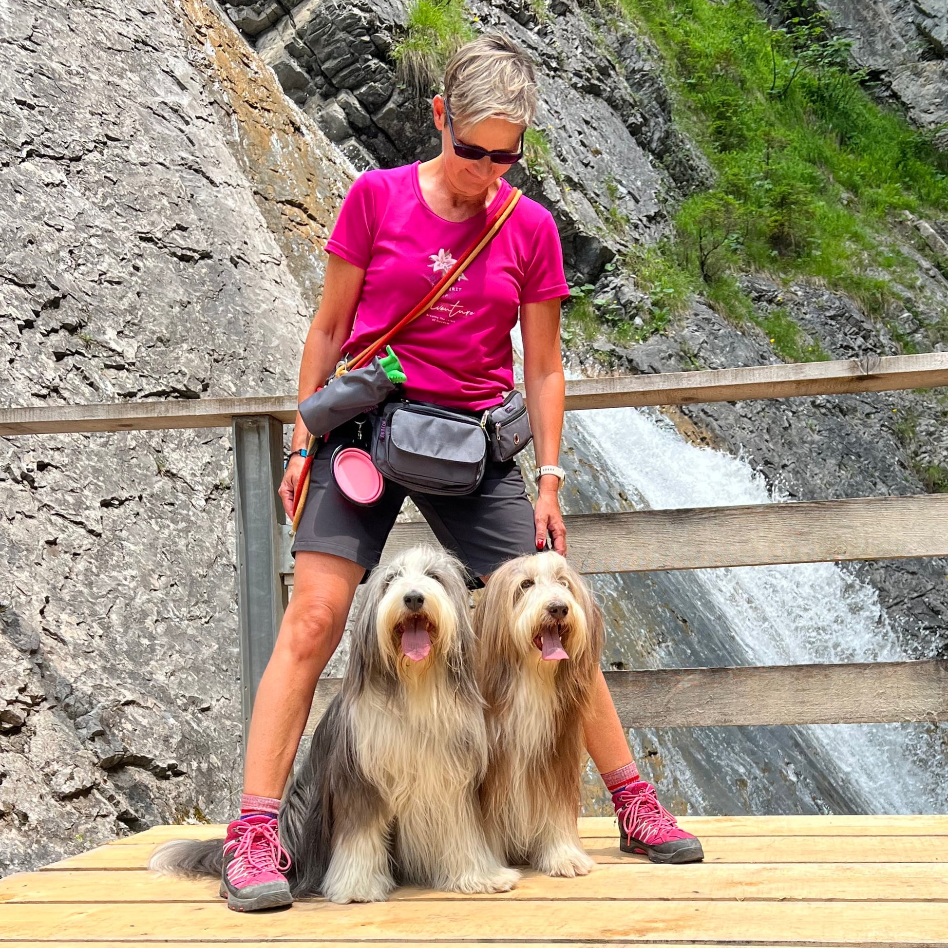 Wasserabweisende Einfarbige Leckerlitasche Gassi-Tasche für Hunde Wanderung - Nijens Shop