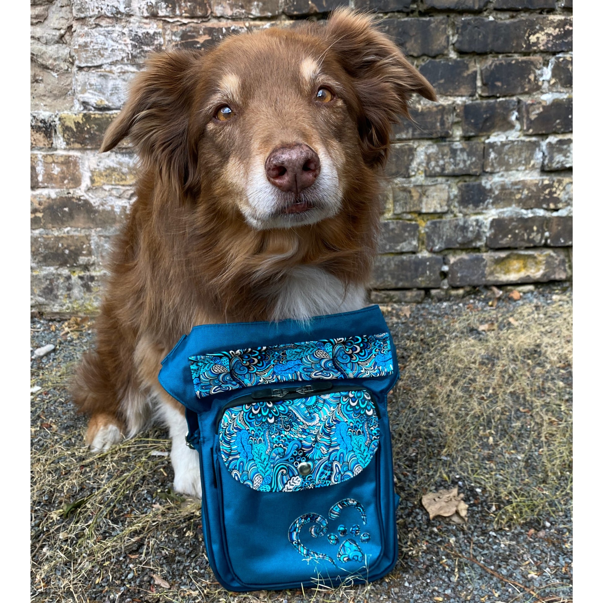 Nijens Gassi-Tasche Wasserdichte Paisley Türkisblau für Hund