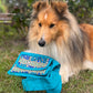 Shetland Sheepdog auf einer Wiese mit bunter Nijens Bauchtasche