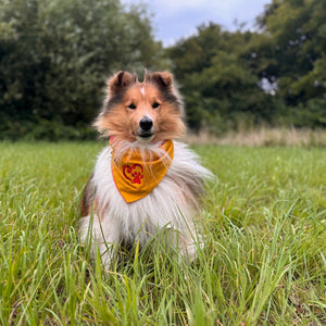 Hundebandana L, Stoff Halstuch mit Stickerei - 116, 107 Nijens Shop