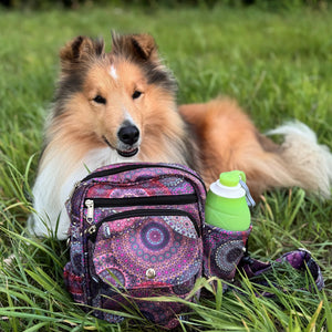 Hund liegt hinter der aufgestellten Tasche. Die Tasche ist in einem lila-roten Mandala Design und eine Hundewasserflasche steckt in der Halterung - Konstanz 71082 Nijens Shop