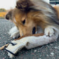 Hund schnuppert neugierig an einem Wurf-Dummy aus echtem Fell – natürliches Apportierspielzeug für Training und Spiel im Freien